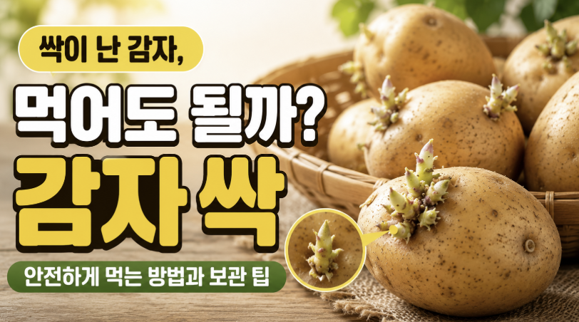 감자 싹 보관법