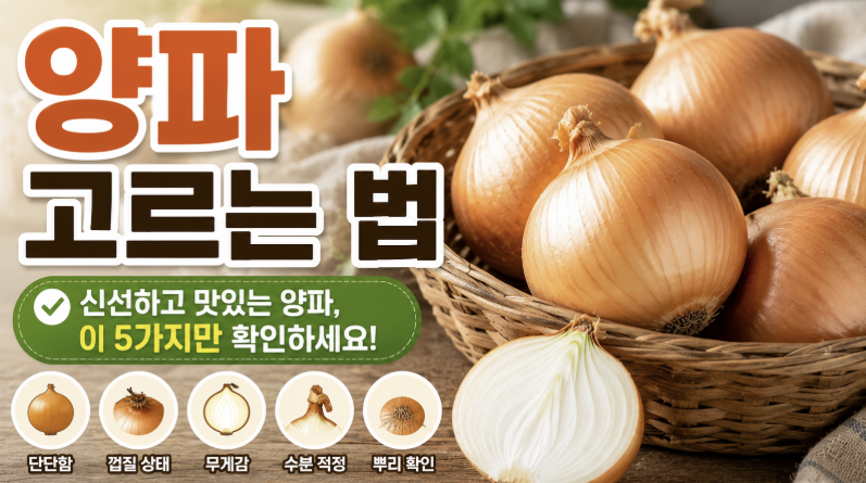 양파 고르는 법