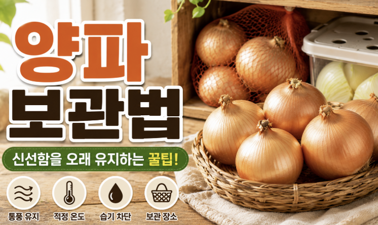 양파 보관법