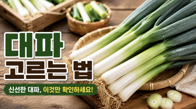대파 고르는 법
