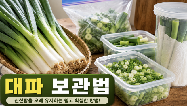 대파 보관법